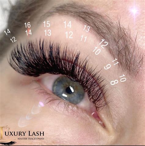 Classic And Volume Eyelash Training Nyc Tx And Ut My Luxury Lash