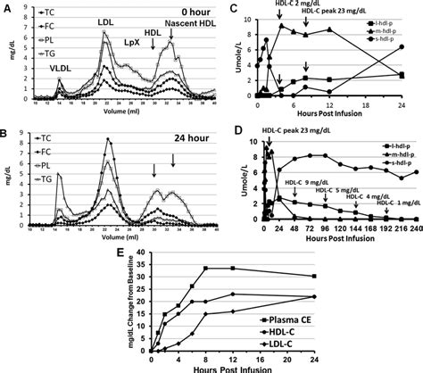 Effect Of Rhlcat Infusion On Lipid And Lipoprotein Levels Fplc Analysis Download Scientific