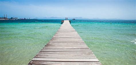 Playa de Port de Pollensa - All about Mallorca