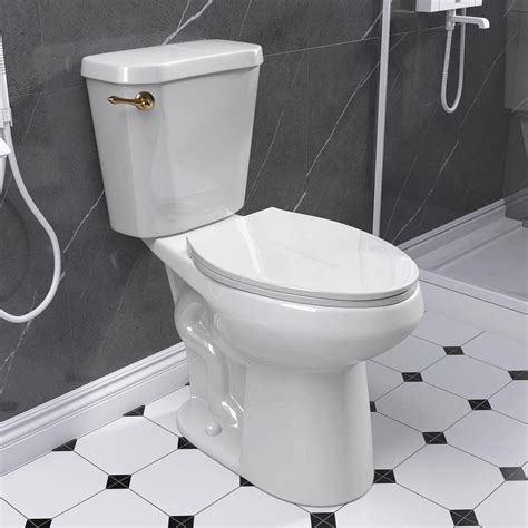 NTQ 2-Piece 1.28 GPF 19 in. Height Single Flush Elongated 12- in. Rough