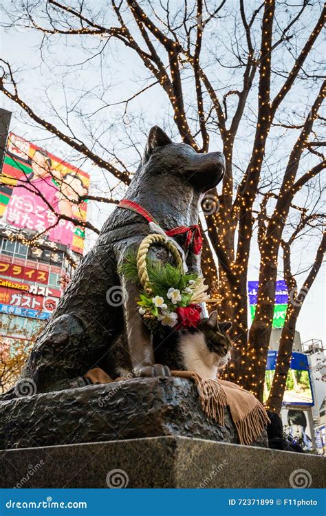 Hachiko Statue In Shibuya Tokyo Editorial Stock Image Image Of View