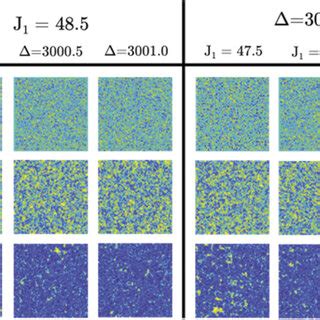 The Monte Carlo Ising Model Simulation Lattice Results Corresponding To