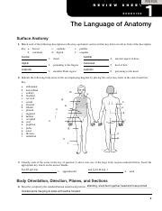 SU BIO1012 W1 A2 G1 Ex1 Green S 1 Pdf 1 Print Form R E V I E W S H E