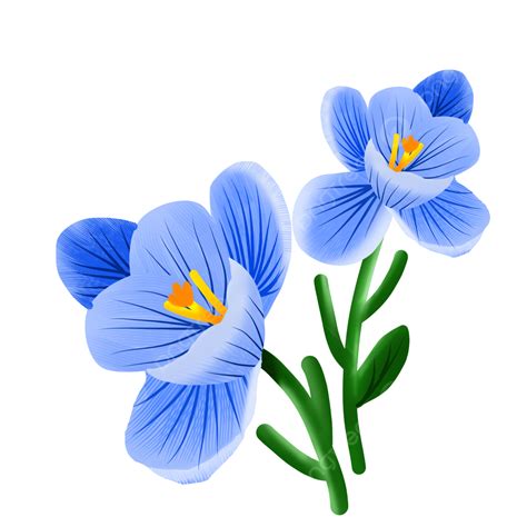 Very Clipart Transparent Background Free Download Two Blue Flowers