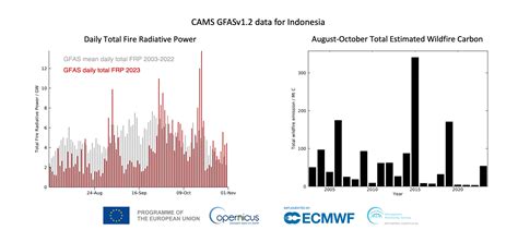 2023: A year of intense global wildfire activity | Copernicus