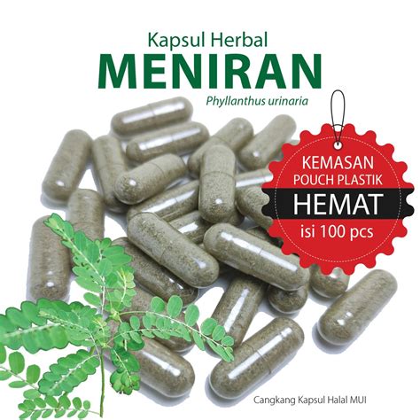 Jual Meniran Kapsul Herbal Pengatur Sistem Imun Batu Ginjal Empedu