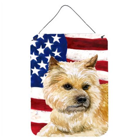 Carolines Treasures Bb9690ds1216 Cairn Terrier Patriotic Wall Or Door Hanging P 16hx12w Qfc