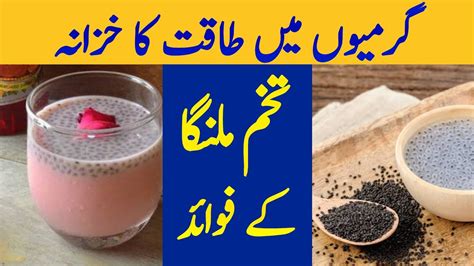 Basil Seeds Benefits Tukh Malanga Benefit Tukmalanga Khane Ke Fayde