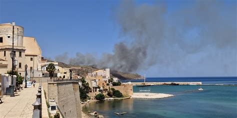 Incendi Anche Nel Trapanese Paura A Castellammare Del Golfo E