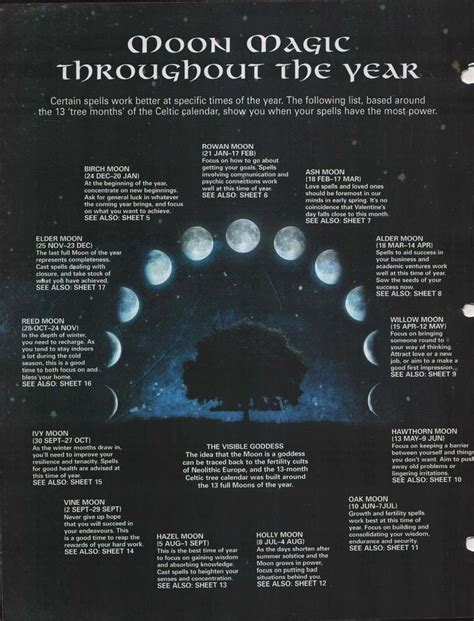 Moon Magick Throughout The Year Livres Des Ombres Astrologie Magie