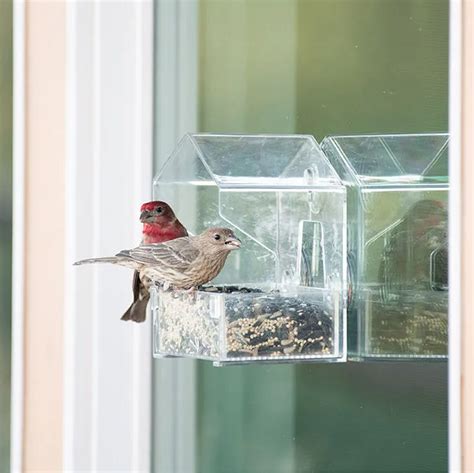 Perky-Pet Window Bird Feeder