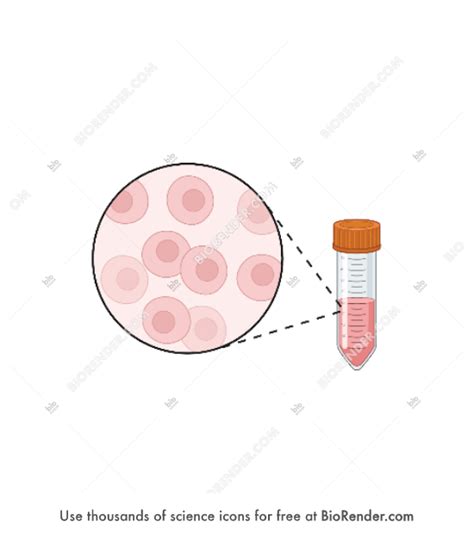 Free Single cell suspension (with prepared sample) Icons, Symbols ...