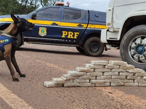 Cães farejadores encontram mais de 30 quilos de cocaína em caminhão