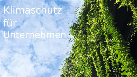 Klimaschutz Für Unternehmen