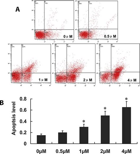 Effect Of Daphnoretin On Apoptosis Of Hct116 Cells A Apoptosis Rate