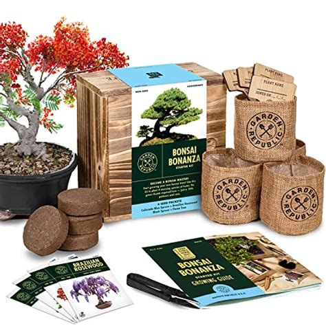 How To Grow Bonsai From Seed Smart Garden And Home