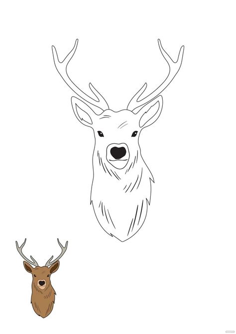 Stag Head Coloring Page in PDF, JPG - Download | Template.net