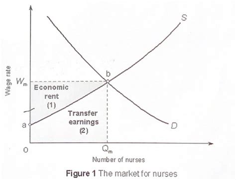 Micro The Labour Market 5 2 Supply Of Labour Flashcards Quizlet