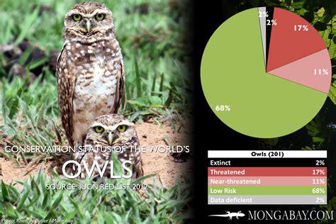 CHART: The world's most endangered owls