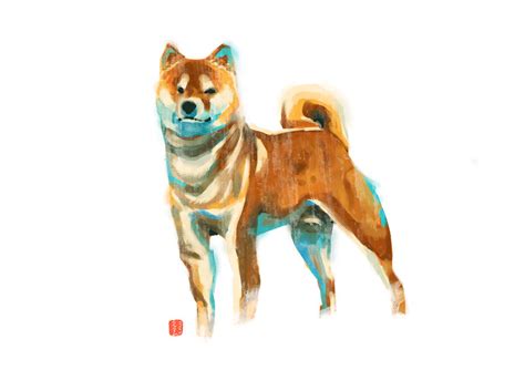 Shiba Inu By Badakbcula1 On Deviantart