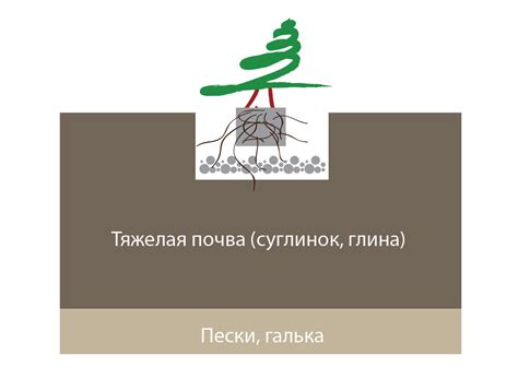 Почему я не делаю дренаж при посадке растений? Рассуждаю, рисую и ...