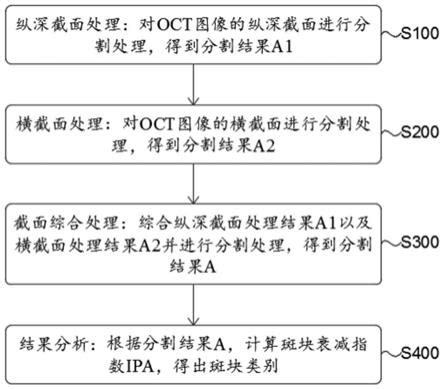 基于深度学习的OCT心血管斑块自动识别与分析方法与流程 2