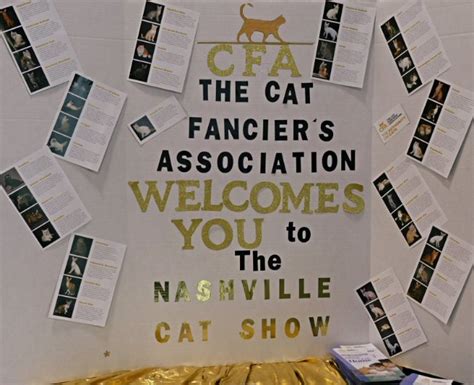 MusicCityNashville.net: There Were Plenty of Cool Cats at the CFA Cat ...