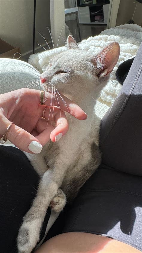 kendall kiper | 2023 was the best year of my life. the year i got my