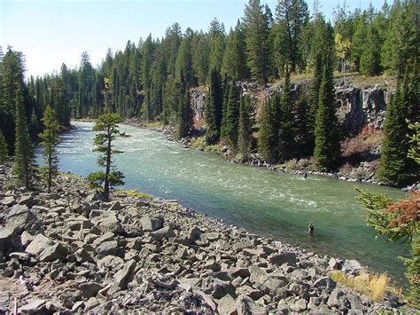 Best Hikes in Caribou-Targhee National Forest (ID) | Trailhead Traveler