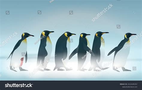 Emperor Penguin Over 4 309 Royalty Free Licensable Stock Vectors