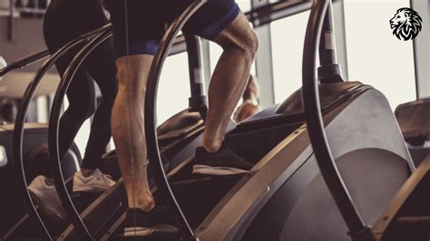 Benefits Of The Stair Climber You Should Know Angry Lion Fitness