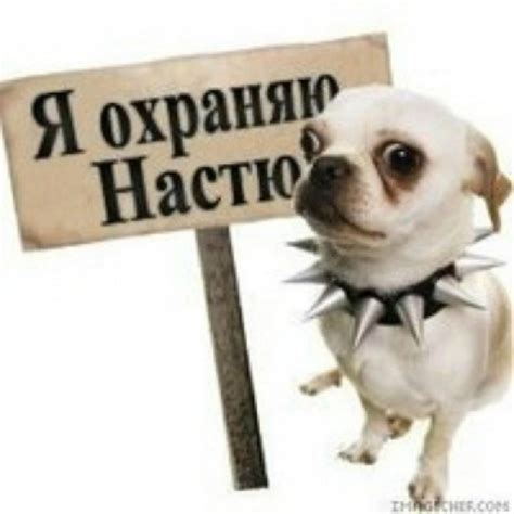 Настя картинки (49 фото)