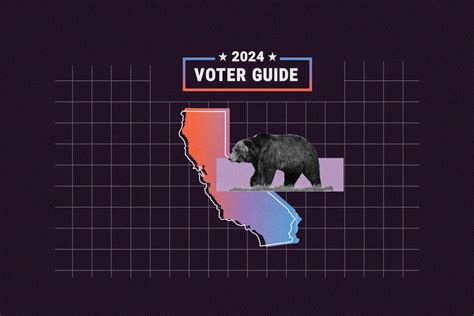 California State Senate: Races to Watch in 2024