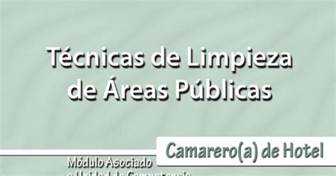 Manual De Tecnicas De Limpieza Areas Publicas By Gsequeira Issuu