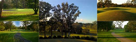 Coffs Harbour Golf Club | Events