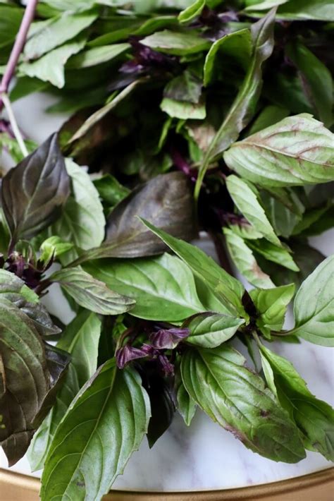 What is Thai Basil? + How To Use It In Recipes - WhitneyBond.com