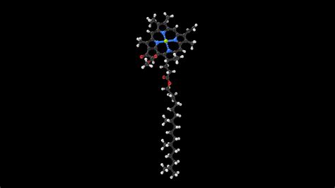 3D Chlorophyll-b - TurboSquid 2210458