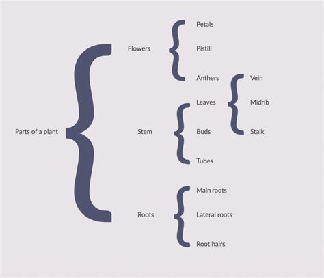 Parts Of A Word Thinking Map Brace Map Thinking Maps Thinking Map