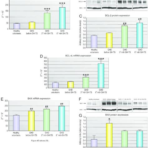 The List Of Anti Apoptotic Pro Survival Genes With The Largest Change