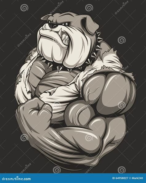 Angry Dog Bodybuilder Stock Vector Illustration Of Flex 64958027