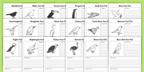 Bird Fact File Worksheets Lehrer Gemacht Twinkl Worksheets Library