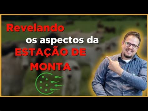 Como Fazer Uma Boa Esta O De Monta Na Sua Fazenda Youtube