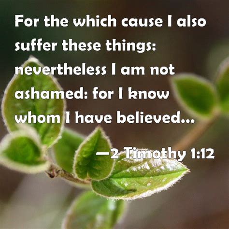 2 Timothy 112 For The Which Cause I Also Suffer These Things