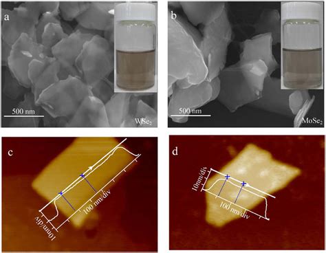 Characterization Of Wse 2 Mose 2 Nanosheets Sem Images Ab And Afm Download Scientific