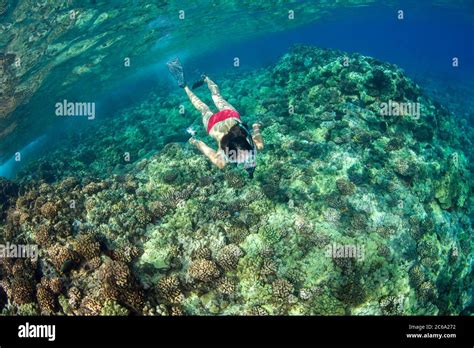 Sous marine bikini girl plongeur tuba Banque de photographies et dimages à haute résolution Alamy