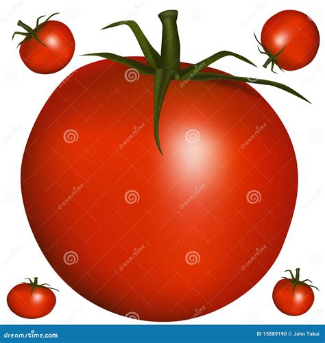 Realistic Tomato Stock Vector Illustration Of Healthy 15889190