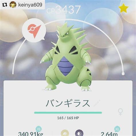 What's your strongest Pokemon ? Credit @keinya609 #ポケモンgo #バンギラス ...