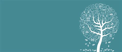 mishcon academy mishcon de reya