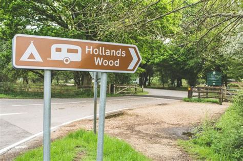 New Forest Camping Sites : Camping Holiday Parks