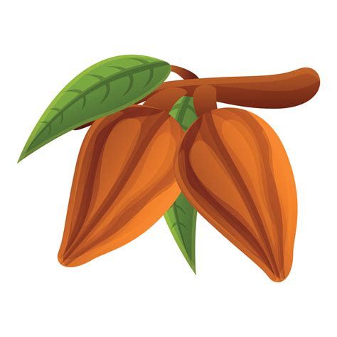 Cocoa Tree Branch Icon Cartoon Style 14221449 Vector Art At Vecteezy